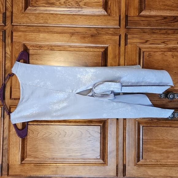 NEW Express Silver Metallic Sleeveless Blouse Size M (NWT) - Picture 5 of 10